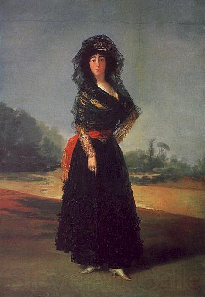 Francisco de Goya Portrait of the Duchess of Alba Norge oil painting art